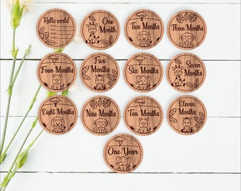 Safari Baby Animal Milestone Discs SVG Bundle Jungle Monthly Photo Props (Digital Download)