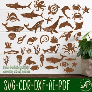 Sealife themed designs, 23 laser cut file shapes. SVG vector files  ai, cdr, dxf instant download. cut outs with details