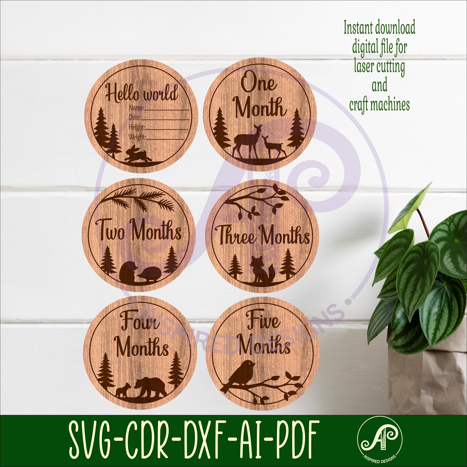 Woodland Baby Milestone Discs SVG, Forest Animals Monthly Baby ...