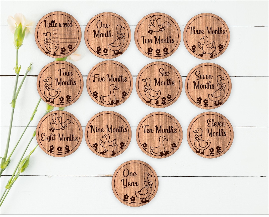 Goose Milestone Discs SVG Bundle: Laser Cut Files (digital Download - Etsy