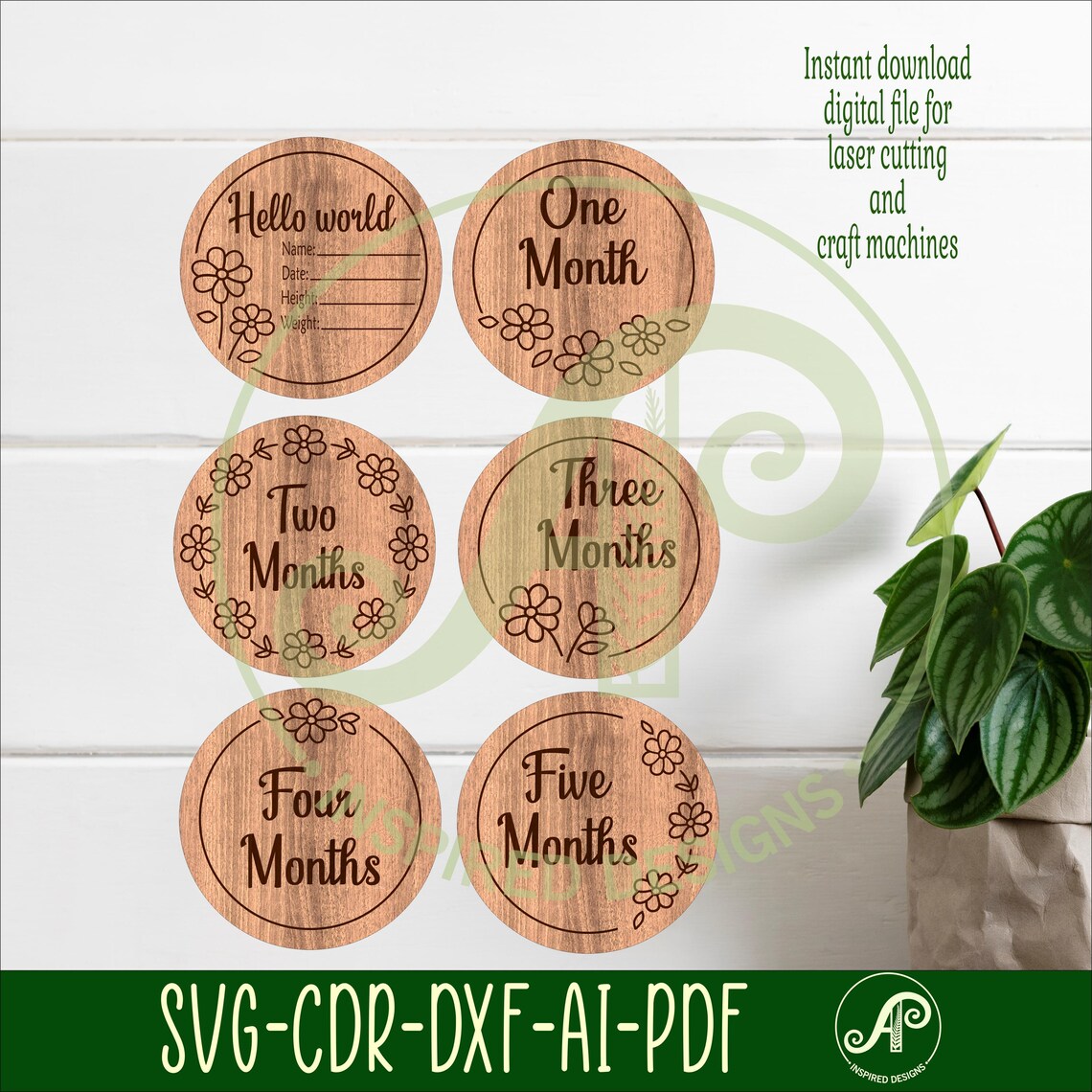 Baby Milestone Discs Daisy Floral SVG, Monthly Milestones Laser Cut ...