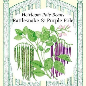 Rattlesnake & Purple Pole Beans - Seed Packet