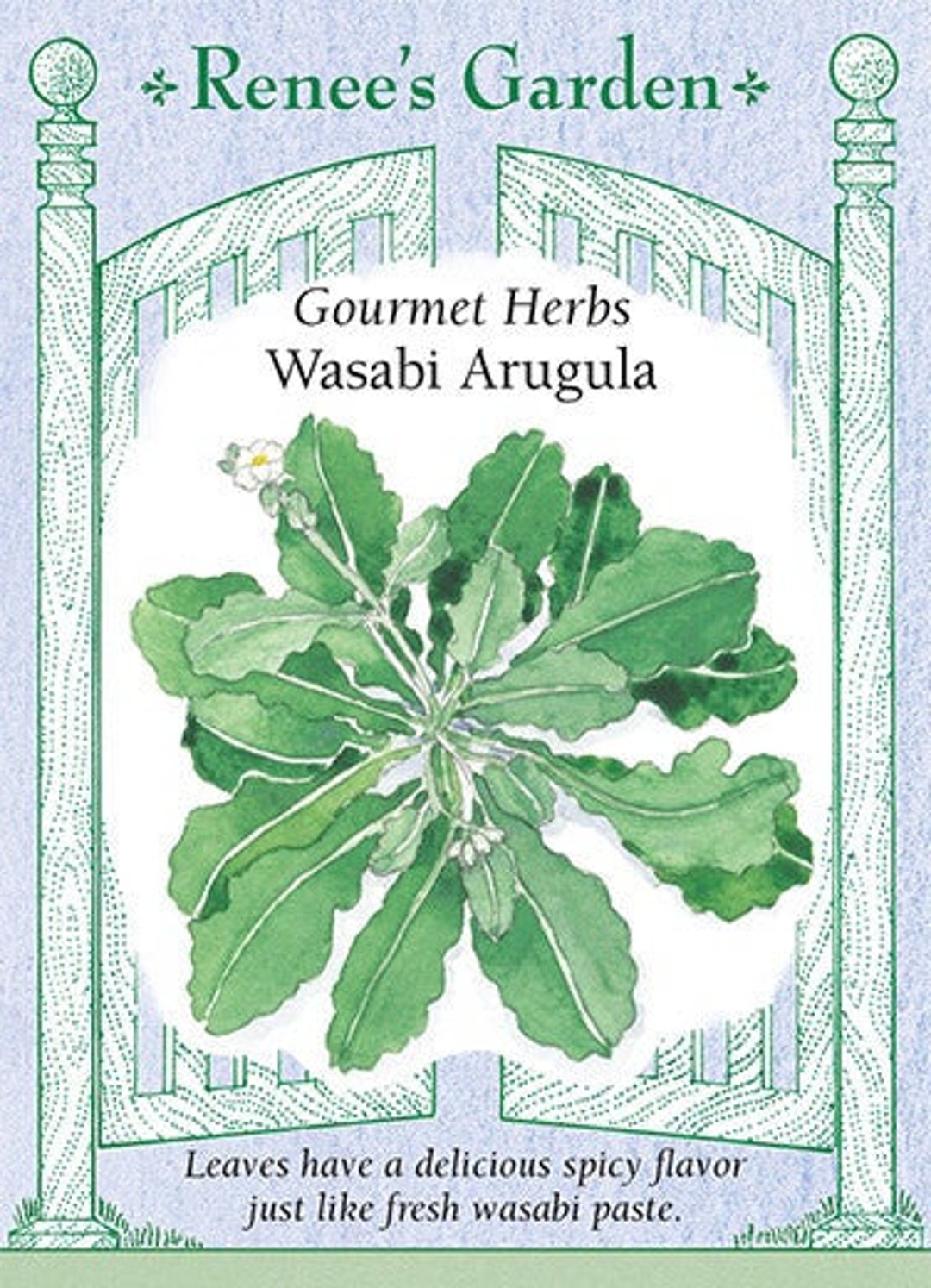 Wasabi Arugula Seed Packet Etsy