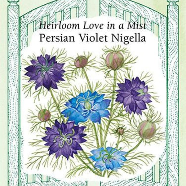 Persian Violet Nigella - Seed Packet