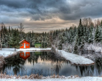 Red house and trees in the winter snow