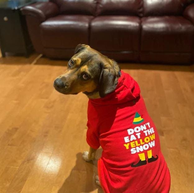 Large Dog Christmas Sweater Etsy UK