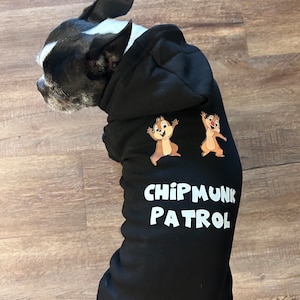 Chipmunk Patrol Dog Shirt OR Hoodie Disney Chip and Dale