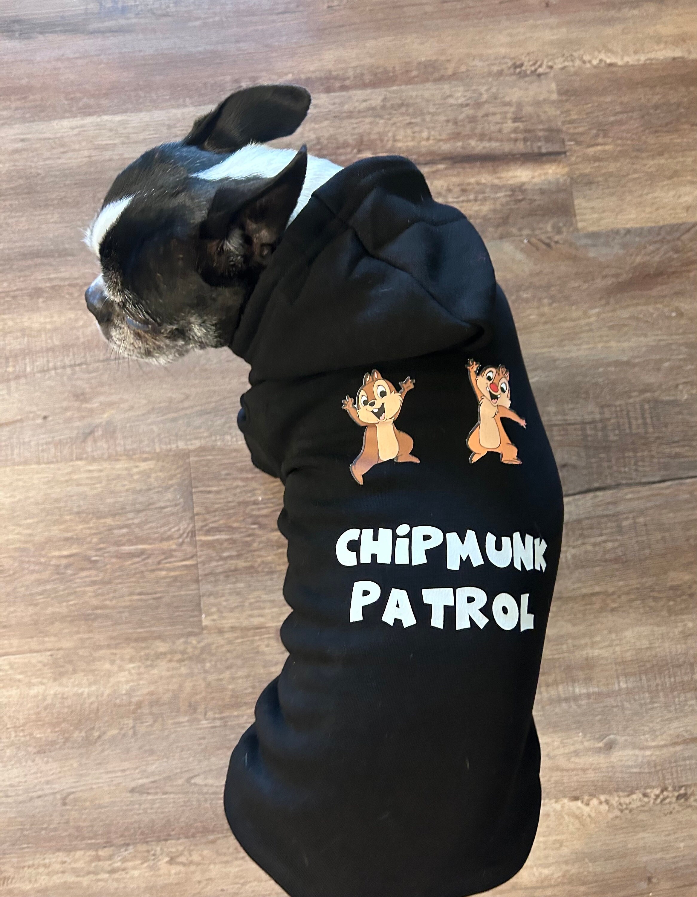 Lettre T Chipmunk - Costume D'Halloween Assorti Groupe Cosplay Sweat à Capuche