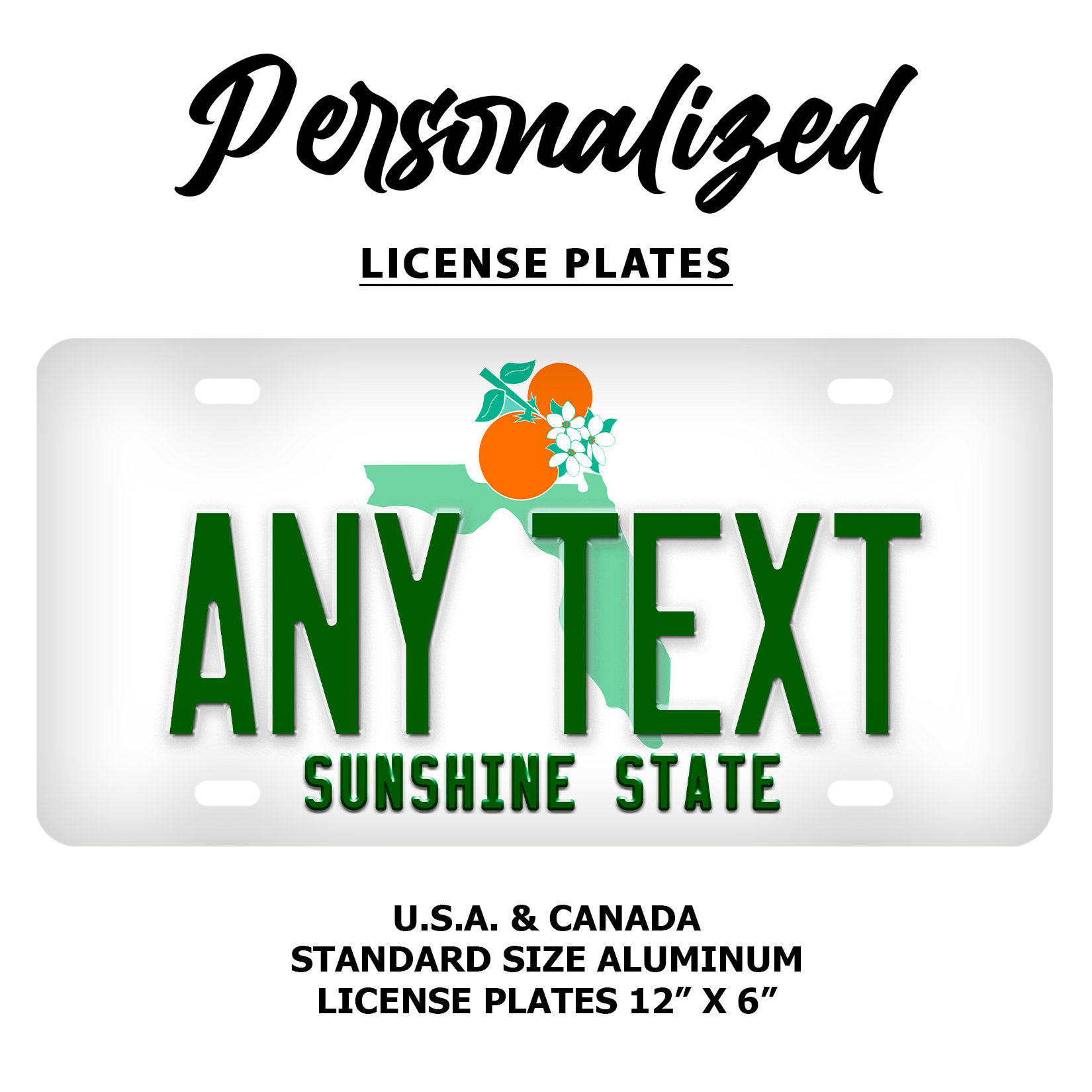 Florida License Plate Clipart