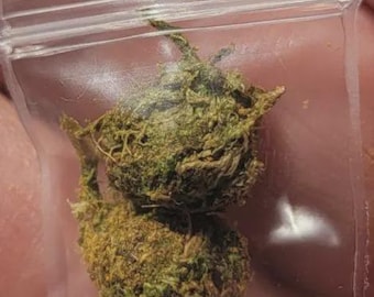 dollhouse miniature weed Marijuana fake
