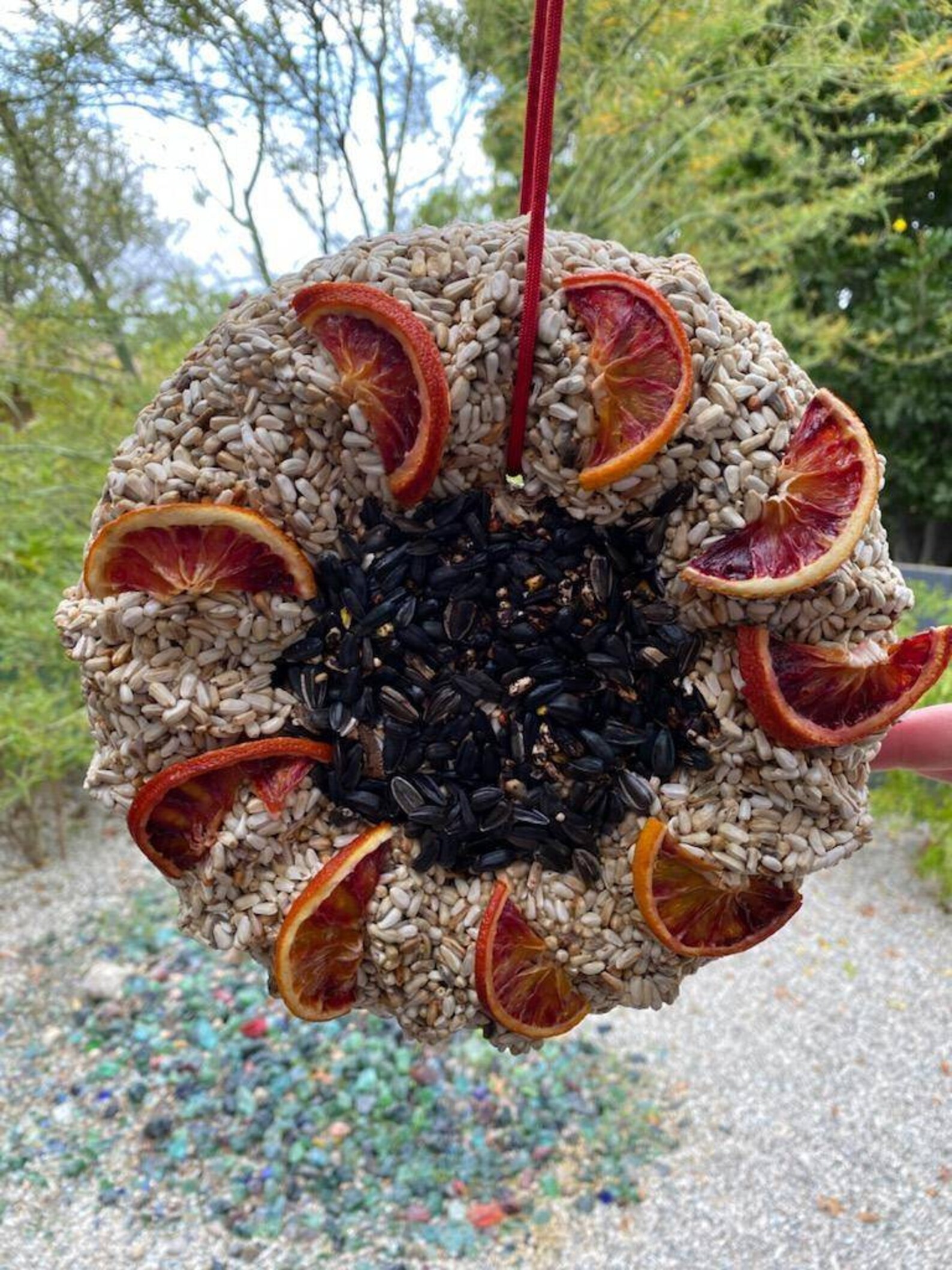 Wild Bird seed bundt cake with dried blood oranges large Etsy