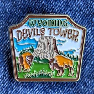 May include: A rectangular pin with the text "Wyoming Devils Tower". The pin shows a mountain, two bison, and green grass under a blue and white sky. The pin has a gold border. The design is reminiscent of a travel souvenir.