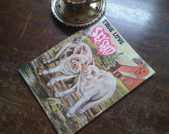 Vintage Comic Book - Sex to Sexty - SRI Publishing - Adults Only - Etsy