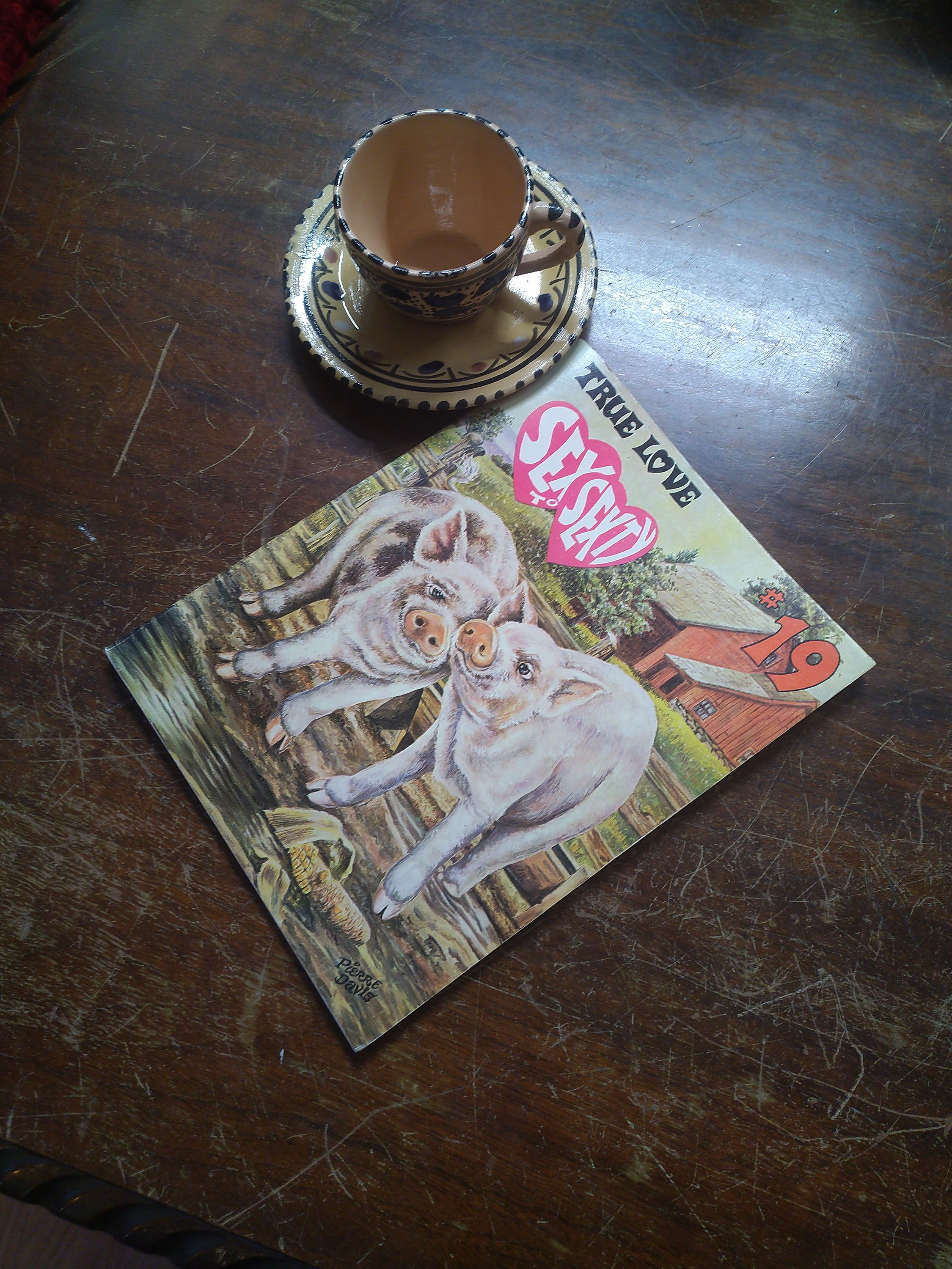 Vintage Comic Book - Sex to Sexty - SRI Publishing - Adults Only
