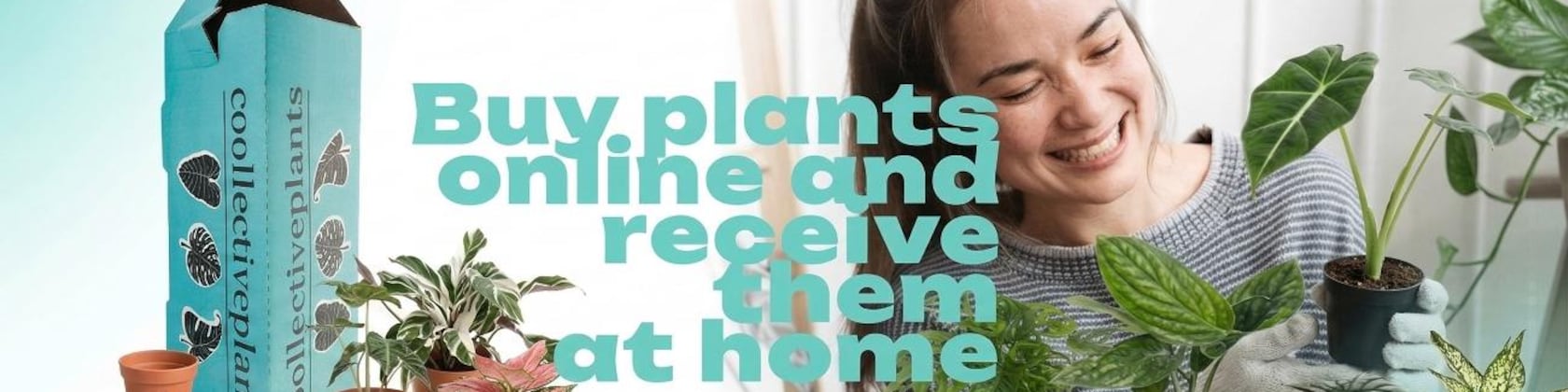 coollectiveplants - Etsy