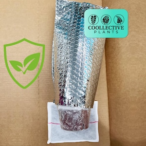 Winter Shipping Insurance: Heat Pack and Insulation Add - Protection on Live Plants for Safe Delivery