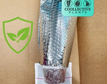Winter Shipping Insurance: Heat Pack and Insulation Add - Protection on Live Plants for Safe Delivery