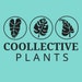Coollectiveplants store logo