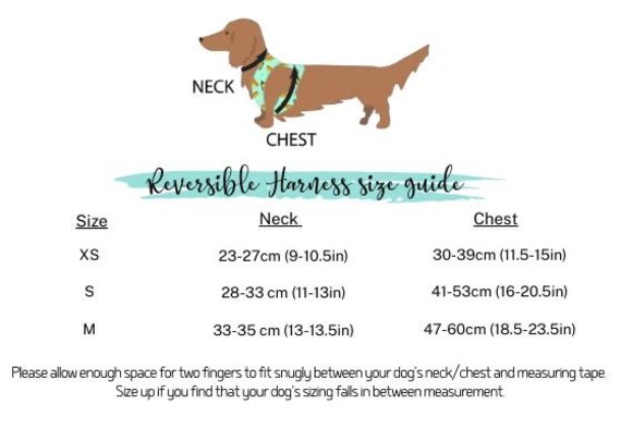 dachshund harness size