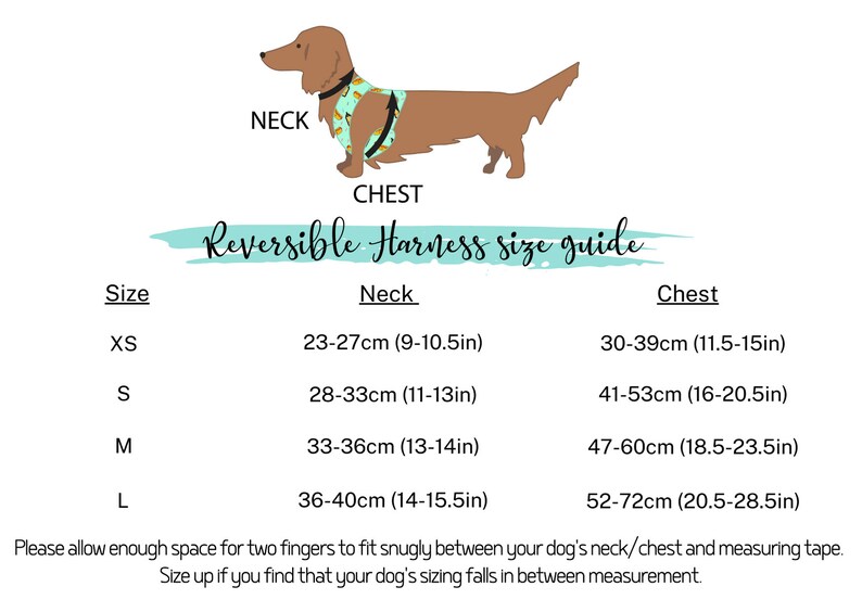 Popsicle Ice Cream Dog Harness, Reversible Dog Harness, Harness Set