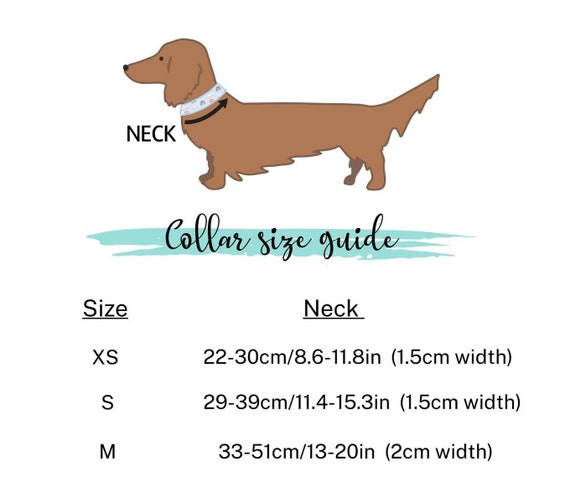 So fetch hotsell dog collars