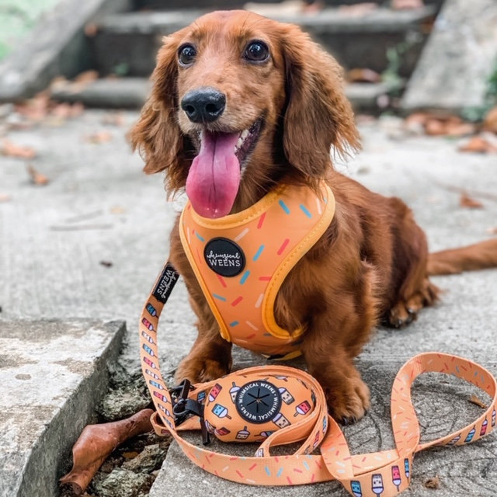 Boba Dog Harness Boba Reversible Harness Cute Sprinkles Etsy