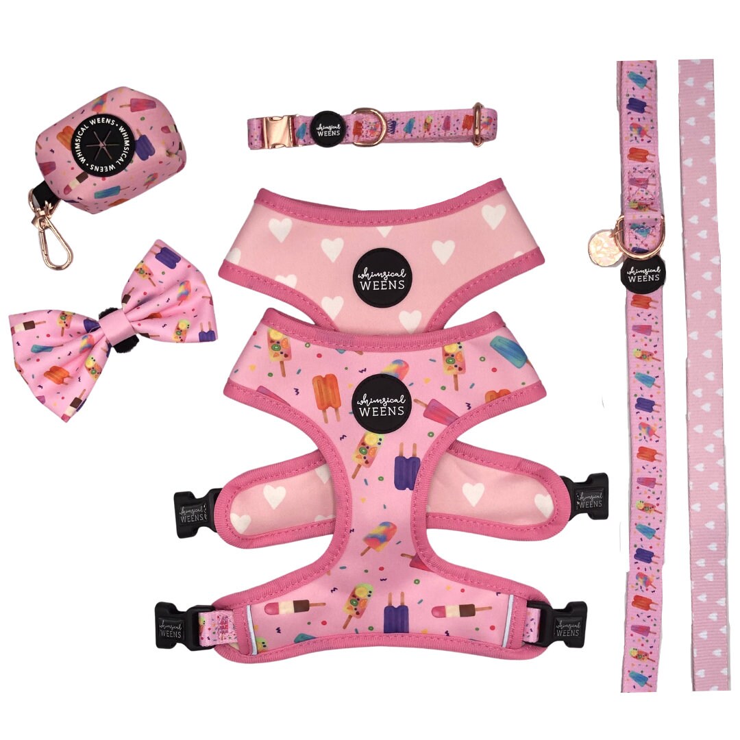 Popsicle Ice Cream Dog Harness Reversible Dog Harness Etsy