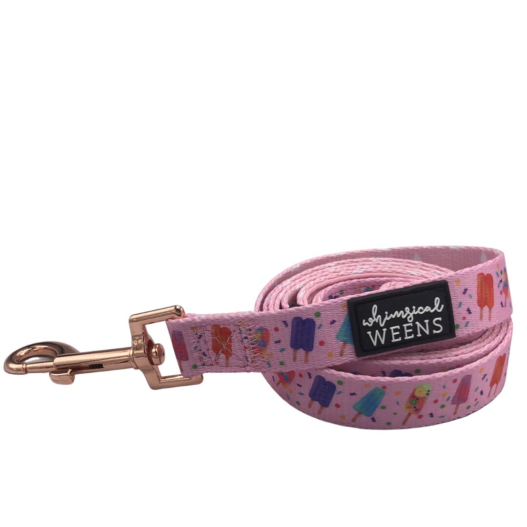 Popsicle Ice Cream Dog Harness, Reversible Dog Harness, Harness Set
