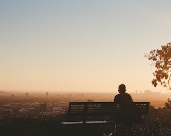 LA Skyline Poster Print