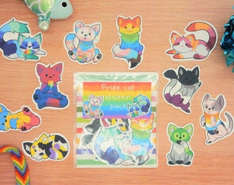 Op de afbeelding: Een set van 10 pride-katten stickers in een doorzichtige plastic zak. De stickers tonen katten met verschillende pride-vlaggen op hun lichaam. De zak heeft een regenboog achtergrond en de tekst "Pride cat sticker pack".