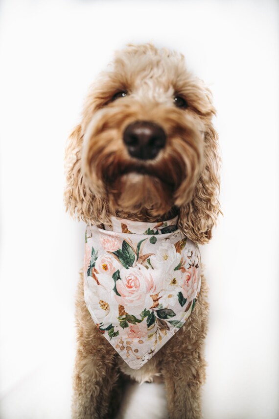 Flower White Dog Bandana Etsy