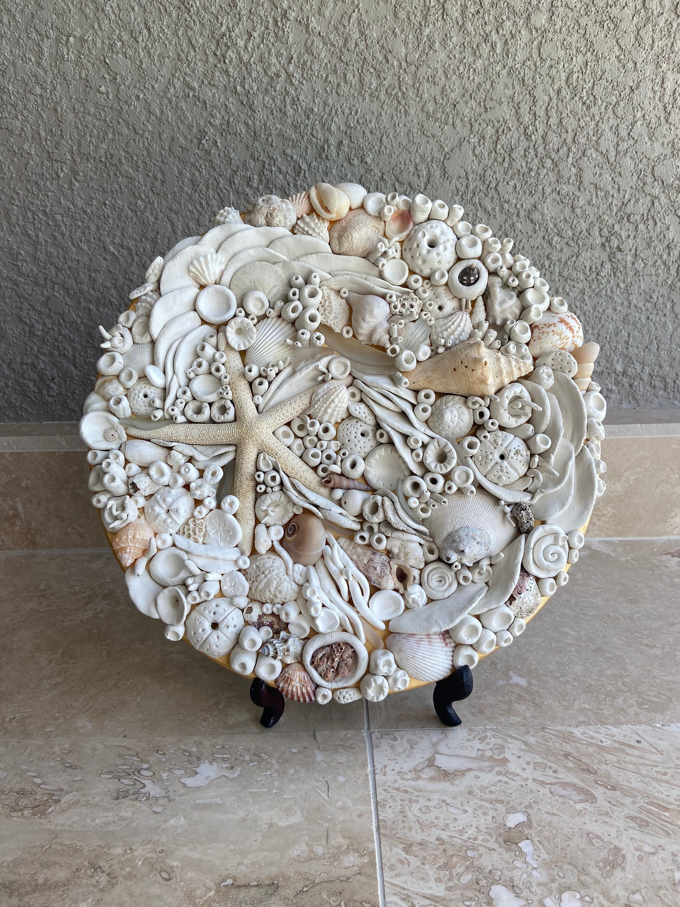 3D Shell Sculpture Sea Coral Decor Minimalist Modern Shell Etsy