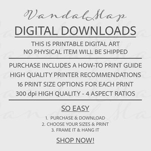 20 digital dandelions prints for digital download printable artwork, maximalist style, minimalist art