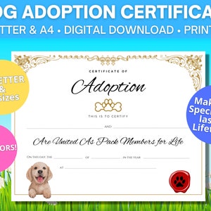 Labrador Adoption Certificate / US Letter & A4 sizes / Lab  / Digital Download / Printable adoption certificate