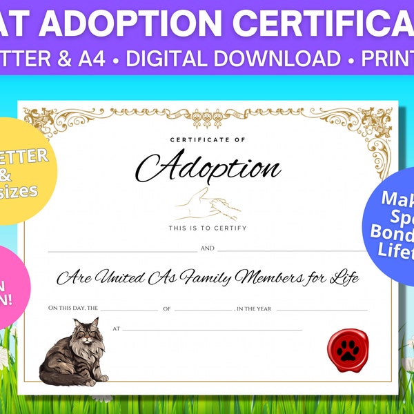 Main Coon Cat Adoption Certificate / US Letter & A4 sizes / Main Coon Kitten / Digital Download / Printable Adoption Certificate