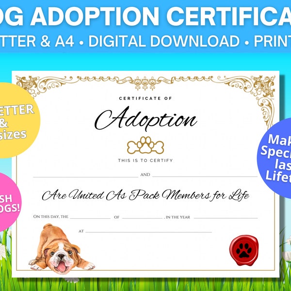English Bulldog Adoption Certificate / US Letter & A4 sizes / Digital Download / Printable adoption certificate