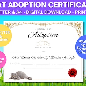 Certificado de adopción de gato Scottish Fold / Tamaños carta y A4 de EE. UU. / Fold escocés gris / Descarga digital / Certificado de adopción imprimible