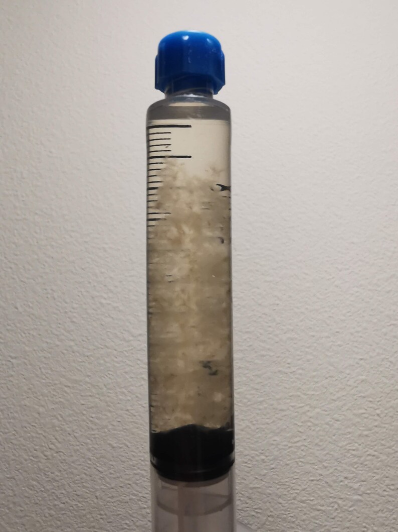 Gourmet and Medicinal Mushrooms Liquid culture Etsy