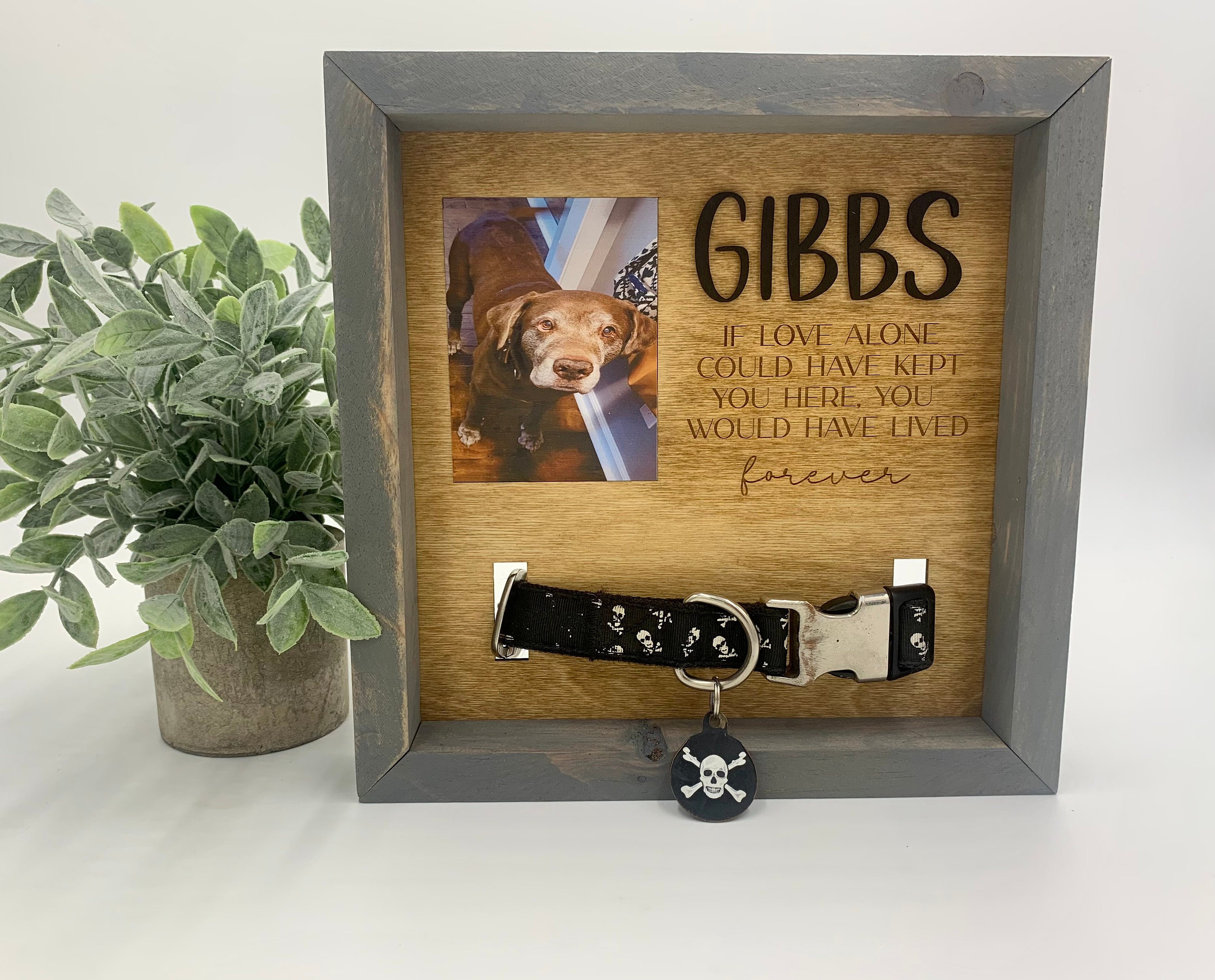 Personalized Pet Memorial Collar Display Dog Remembrance Etsy