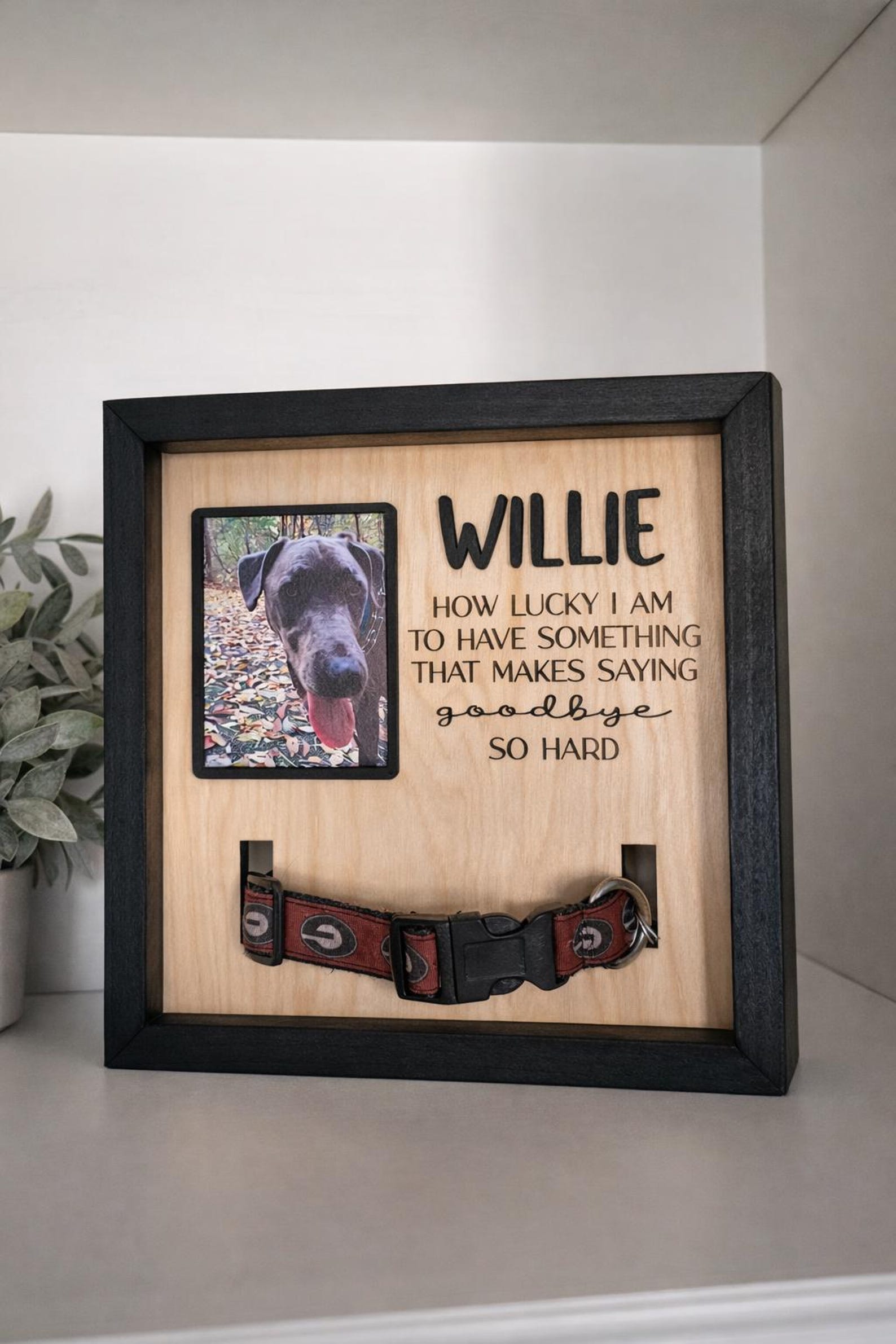 Personalized Dog Memorial Frame With Collar Display| Custom Pet ...