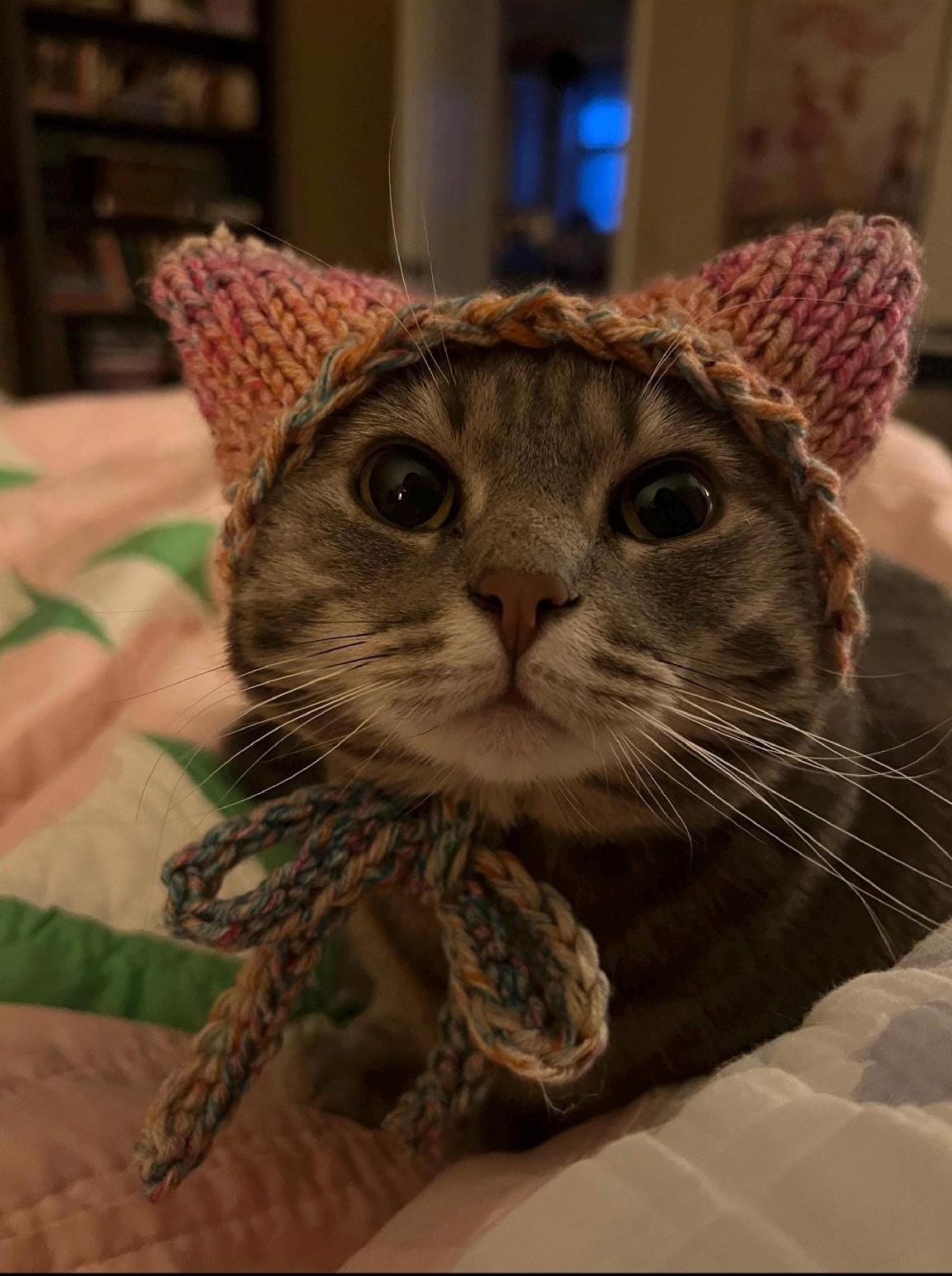 KNITTING PATTERN Cat Hat for Cat With Kitty Ears - Etsy