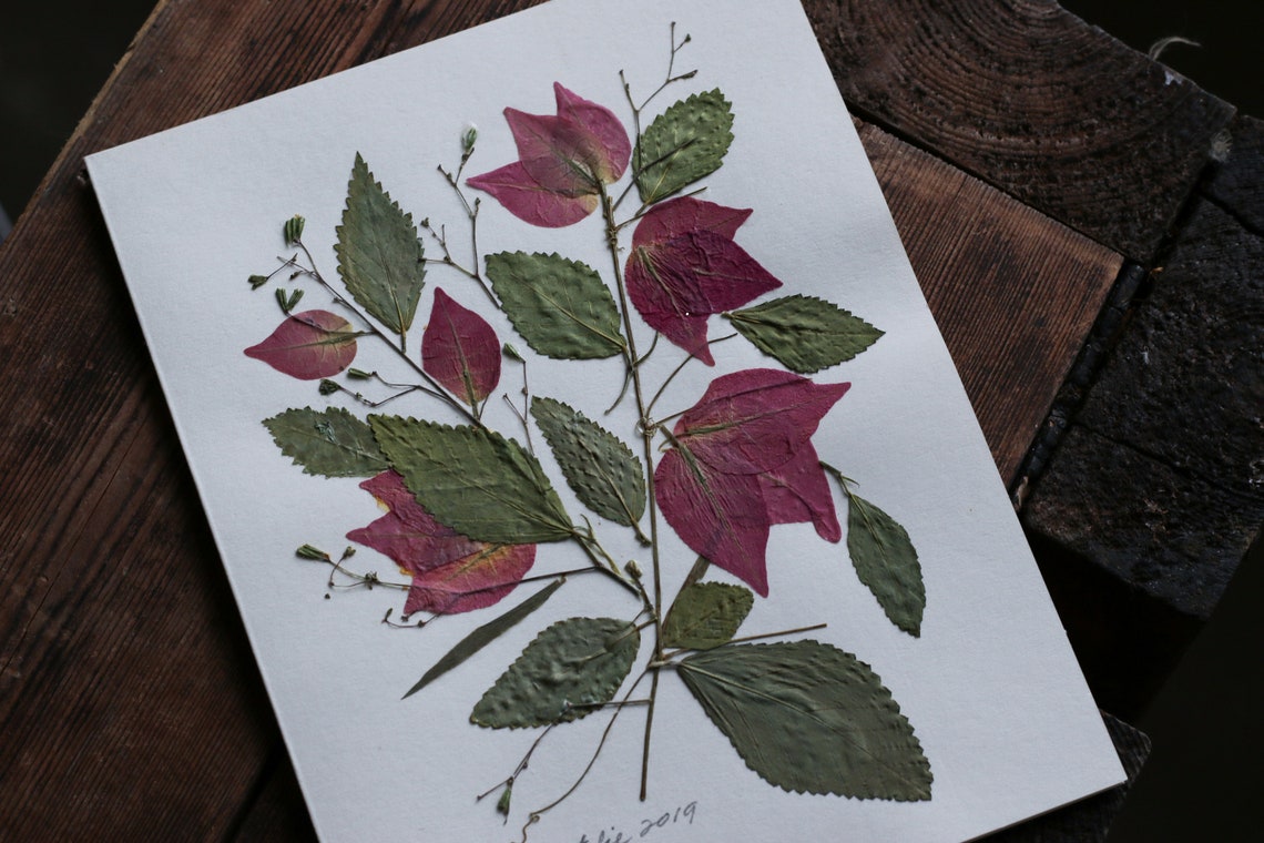 Dried Pressed Flower Card Floral Art Natural Gift Etsy