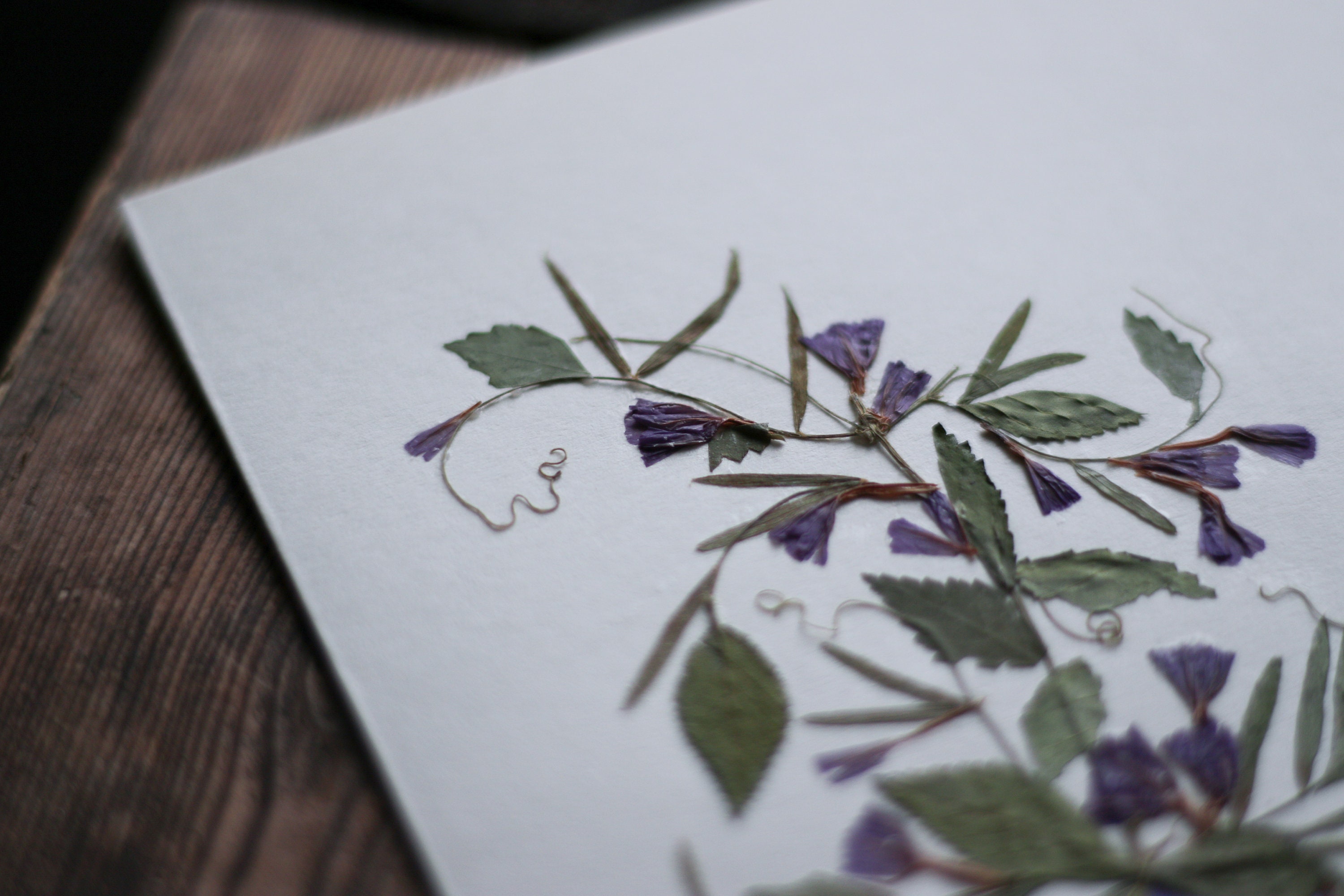 Dried Pressed Flower Card Floral Art Natural Gift Etsy UK