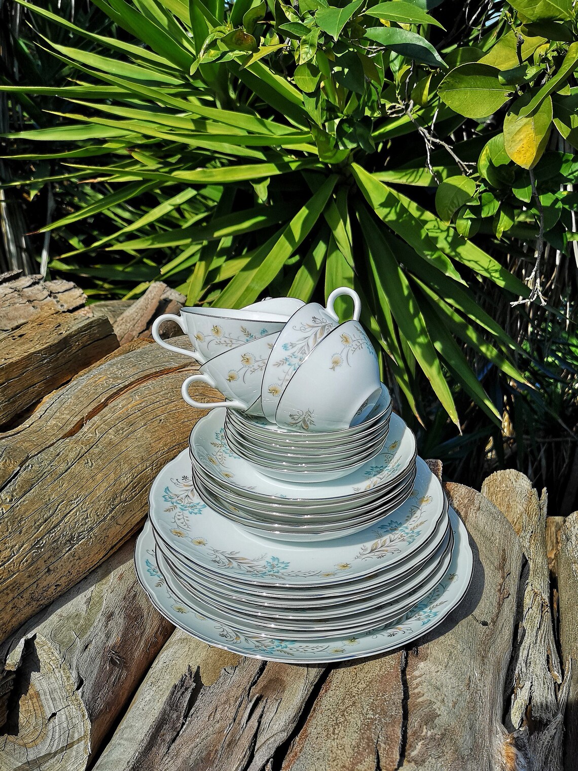 25 Pcs Set Kyoto Fine China Rutland 18521 Service for 6 Japan Plate Cup