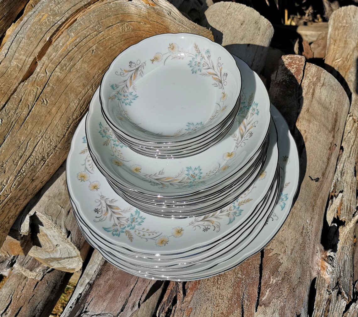 25 Pcs Set Kyoto Fine China Rutland 18521 Service for 6 Japan Plate Cup