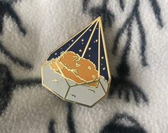 Sleeping Terrarium Cat Pin