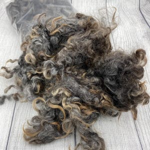 Washed Lincoln Locks for Spinning, Felting, Yarn, Natural Colors