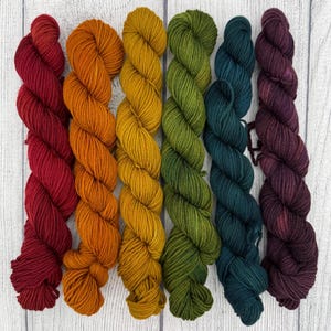May include: Six twisted skeins of yarn arranged side by side in a gradient of colors. The colors from left to right are deep red, bright orange, golden yellow, olive green, dark teal, and a rich plum purple, all featuring a twisted texture.