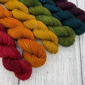 May include: A collection of five twisted skeins of yarn arranged in a diagonal row. The colors include deep red, vibrant orange, golden yellow, olive green, dark teal, and a deep plum purple, all featuring a consistent, tightly spun texture.