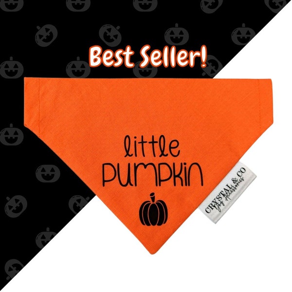 Little Pumpkin, Halloween, Over The Collar Dog Bandana